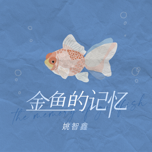 中国河南女人做爰视频
